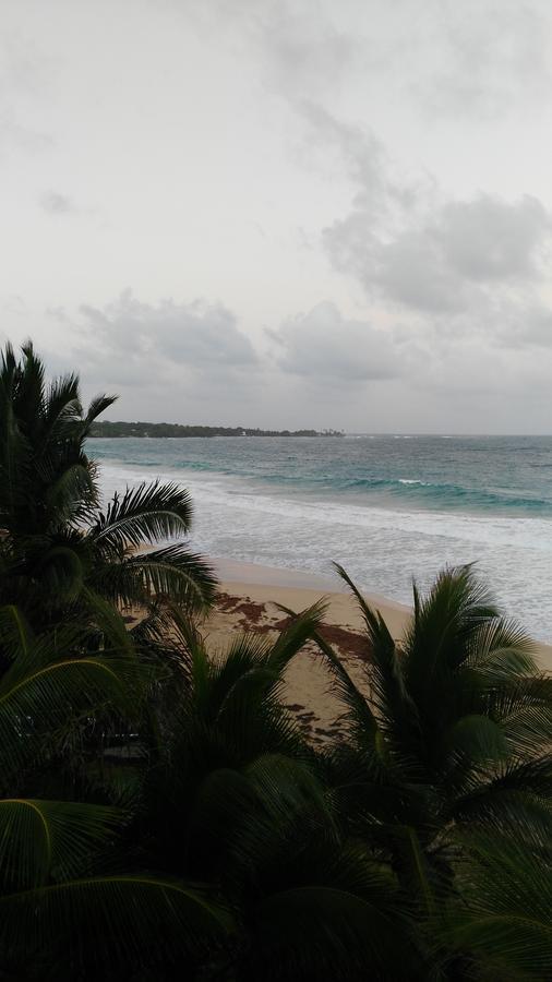 Corn Island Hostal Alal Suite North End エクステリア 写真